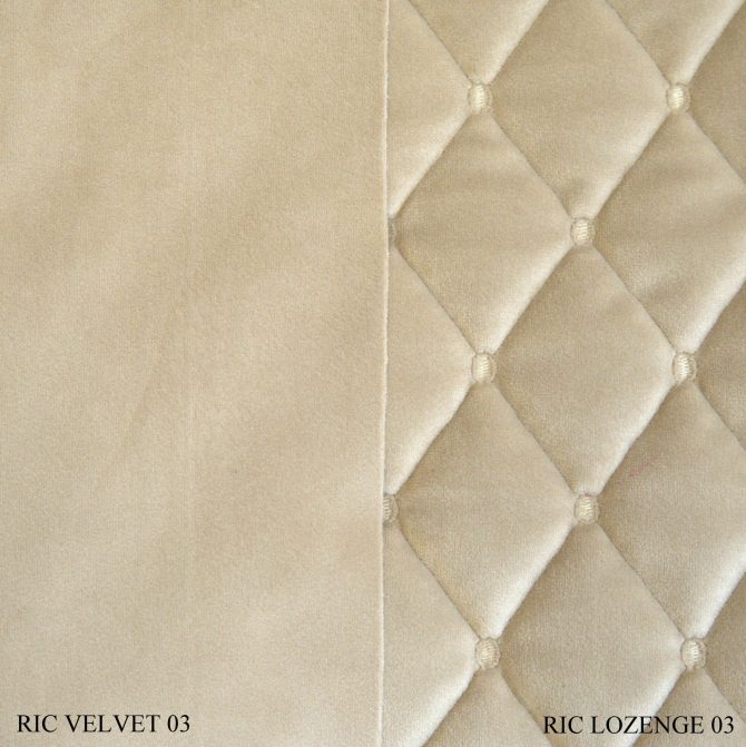 RIC VELVET ↔140 - Image 5