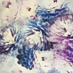 B430/AQA SILK-18
