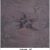 J100448 - 207