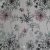 XX ICE – 1