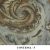 CONTESSA – 5
