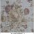 LINEN PRINT – 5