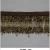 592008 - 100
